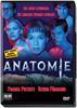 Anatomie