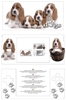 Pebble Modding Skin DS [Puppies]