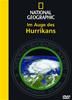 Im Auge des Hurricans