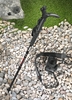 Hama 4103 Alpenstock-Einbein-Stativ