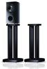 Pioneer CP-81B-K schwarz Paar
