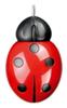 Pat Says Now Ladybug