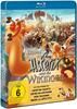 Asterix und die Wikinger