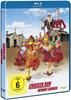 Chicken Run - Hennen Rennen