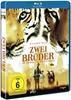 Zwei Brüder