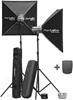 Elinchrom D-Lite 2 it To Go Set