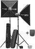 Elinchrom D-Lite 4 it To Go Set
