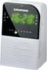Grundig Sonoclock 790