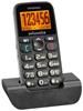 Swissvoice MP22