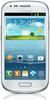 Samsung Galaxy S3 mini