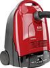 AEG Vampyr CE2300 Parketto