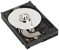 Dell Server Festplatte 2TB 3.5', SATA, 7200rpm, verkabelt (non hot-plug), Kit für PowerEdge T110