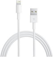 Apple Lightning Adapter auf USB Kabel