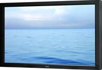 NEC MultiSync V322 80cm, WXGA 1366x768, 3000:1, 340cd/m², 8ms, h/v: 178º/178º, DisplayPort, HDMI, DVI, VGA, Komponent (YUV), Composite, S-Video, LAN, seriell, Lautsprecher, VESA 200x200mm