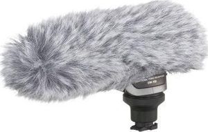 Canon DM 100 (item no. 90291848) - Picture #2