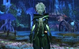 Guild Wars 2 (item no. 90335202) - Picture #4