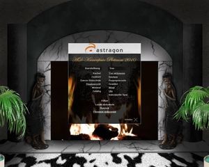 HD-Kaminfeuer Platinum 2010 (item no. 90372982) - Picture #2