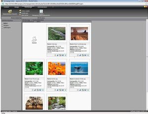 Homepage Maker 8 Express (item no. 90397077) - Picture #2