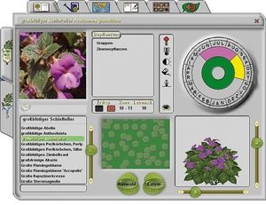Franzis 3D Gartenplaner 2011 (item no. 90419779) - Picture #4