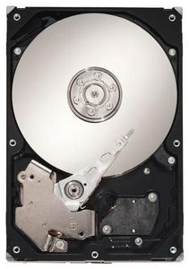 Seagate Constellation ES 1TB (item no. 90421493) - Picture #1
