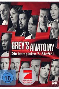 Grey's Anatomy - Season 7 complete (item no. 90444508) - Picture #1