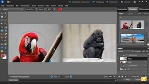 Adobe Photoshop Elements 10 (item no. 90446535) - Picture #5