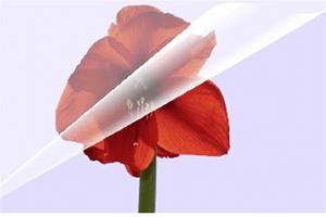 Olympia Laminierfolien A4 (item no. 90451142) - Picture #1