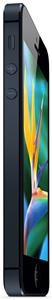 Apple iPhone 5 16GB iOS schwarz (Art.-Nr. 90481569) - Bild #3