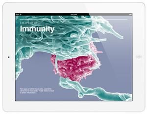 Apple iPad Wi-Fi 32GB iOS weiß (Art.-Nr. 90488665) - Bild #3