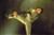 Jet Li - Romeo Must Die (item no. 90029862) - Thumbnail #8