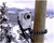 Joby Gorillapod schwarz/grau (item no. 90195962) - Thumbnail #7