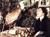 Geierwally, Die (item no. 90213491) - Thumbnail #5
