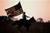 Patriot, Der - Extended Version (item no. 90227144) - Thumbnail #14