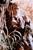 Patriot, Der - Extended Version (item no. 90227144) - Thumbnail #24