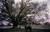 Patriot, Der - Extended Version (item no. 90227144) - Thumbnail #19