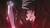 Devil May Cry - Volume 1 (item no. 90259619) - Thumbnail #2