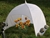 Kaiser Lichtzelt-Dome 75x75 (item no. 90286767) - Thumbnail #2