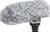 Canon DM 100 (item no. 90291848) - Thumbnail #2