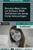 Nintendo DSi schwarz (item no. 90314305) - Thumbnail #34
