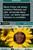 Nintendo DSi schwarz (item no. 90314305) - Thumbnail #30