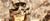 Wall-E (Single Disc Edition) (item no. 90315269) - Thumbnail #12