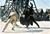 Maske des Zorro, Die (item no. 90320697) - Thumbnail #5