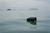B&W Koffer Typ 30 SI, schwarz (item no. 90325440) - Thumbnail #4
