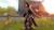 Herr der Ringe: Die Abenteuer von (item no. 90337719) - Thumbnail #2