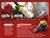 WebEasy 8 Professional (Minibox) (item no. 90339266) - Thumbnail #3