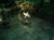 Diablo 3 (uncut) (item no. 90345696) - Thumbnail #8