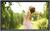 NEC MultiSync V321 schwarz (item no. 90378782) - Thumbnail #2