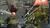 Earth Defense Force (item no. 90384239) - Thumbnail #3