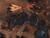 Starcraft 2: Wings of Liberty C.E. (Art.-Nr. 90387516) - Vorschaubild #28