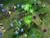 Starcraft 2: Wings of Liberty C.E. (Art.-Nr. 90387516) - Vorschaubild #4